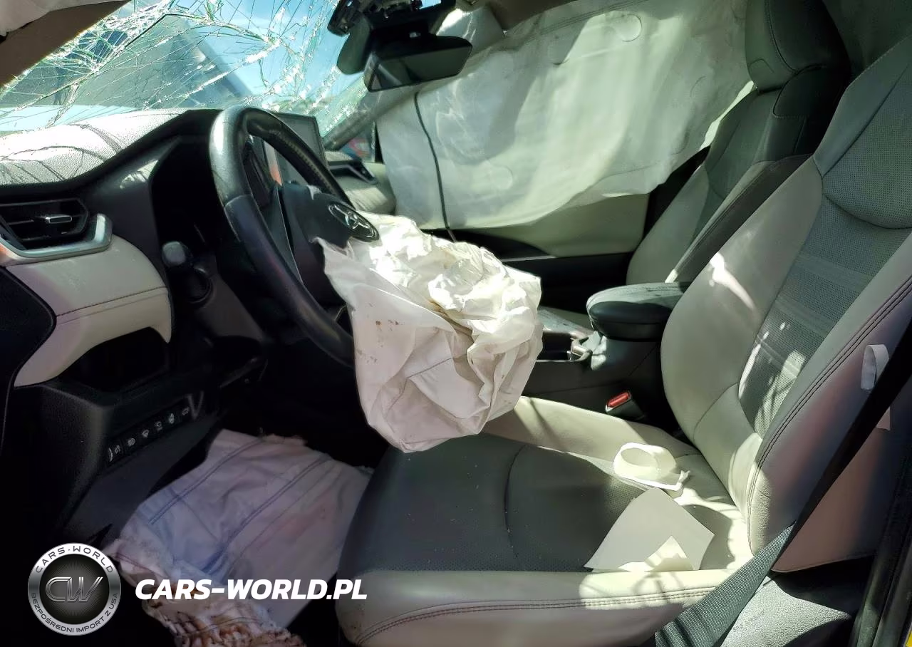 2019 Toyota Rav4 Limited VIN:JTMDWRFV0KD502686 - 7