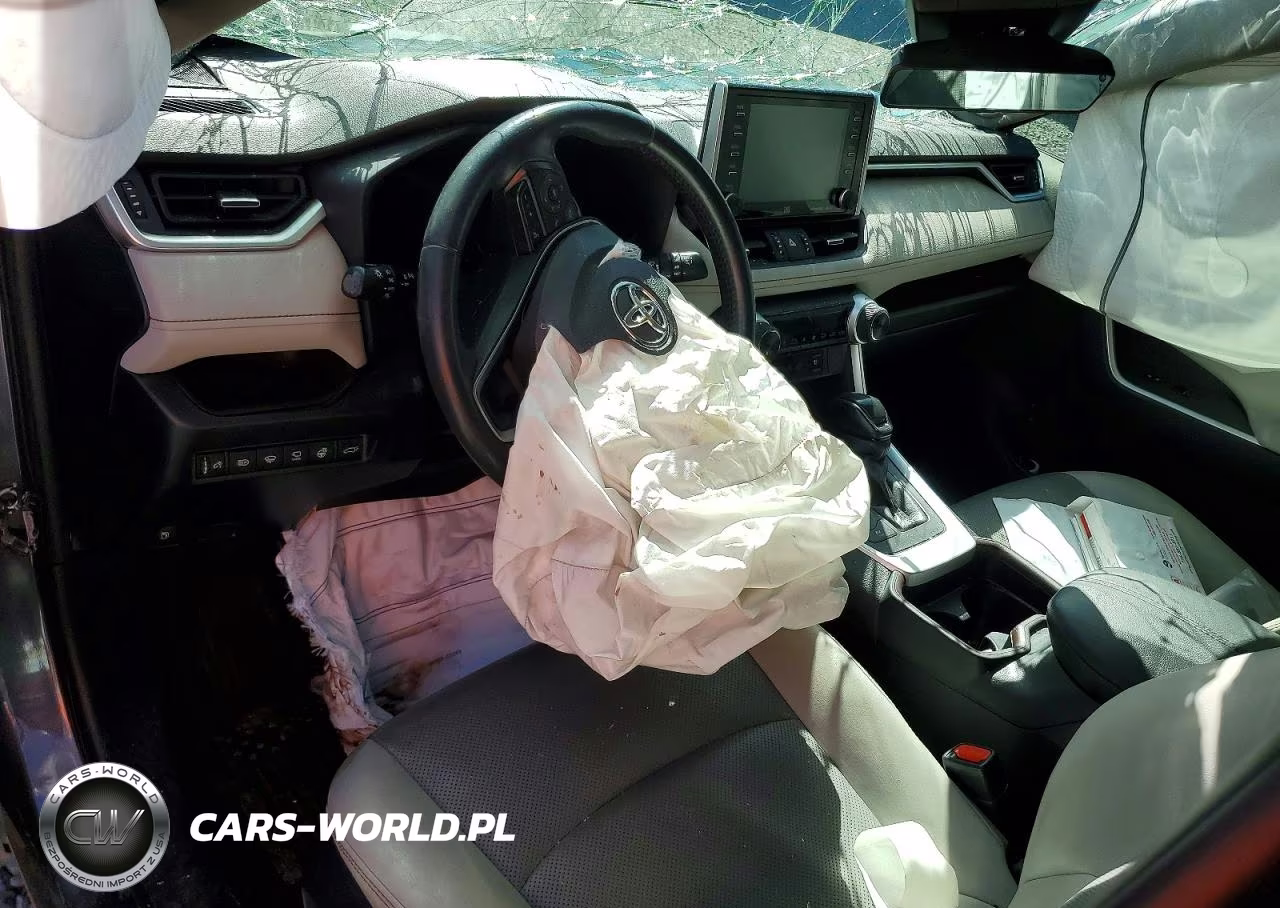 2019 Toyota Rav4 Limited VIN:JTMDWRFV0KD502686 - 8