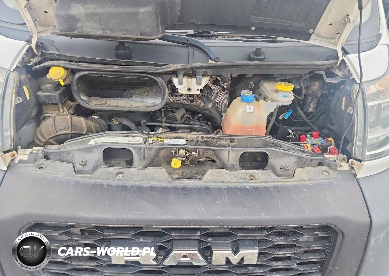 2021 Ram Promaster 2500 Delivery Van VIN:3C6LRVDG2ME517926 - 12