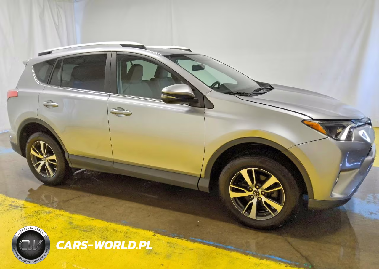 2016 Toyota Rav4 Xle VIN:2T3RFREVXGW420689 - 4