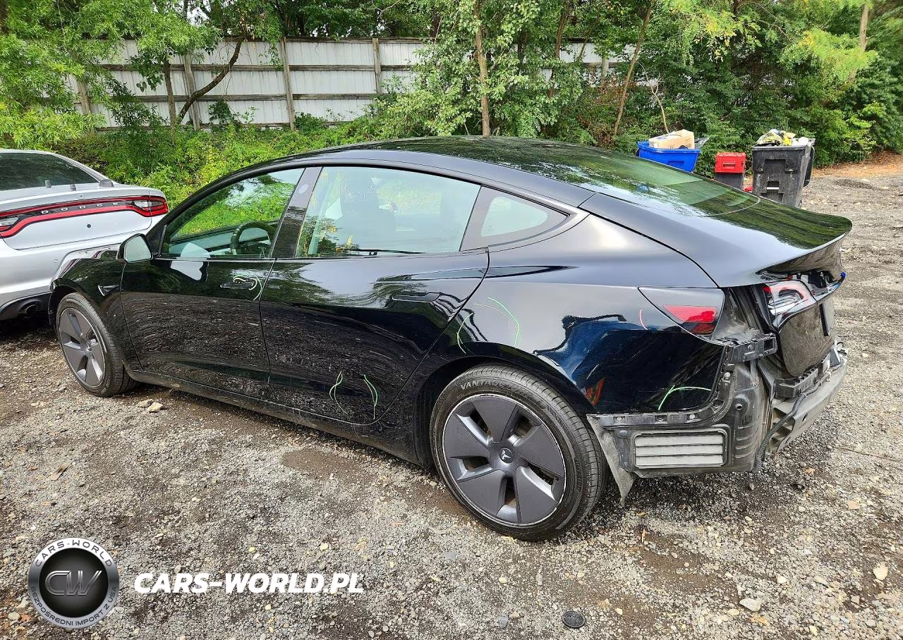 2022 Tesla Model 3 VIN:5YJ3E1EA9NF370197 - 2