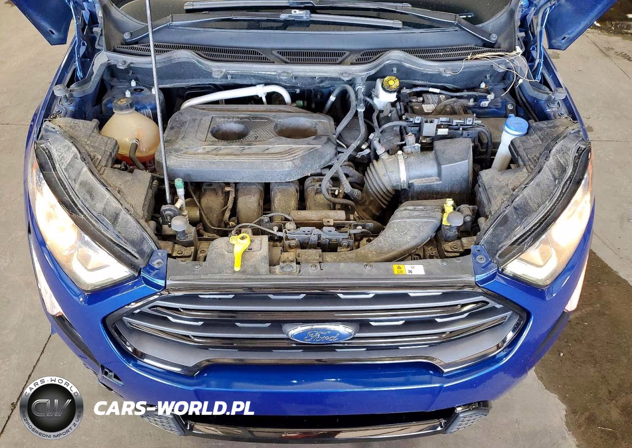 2021 Ford Ecosport Ses VIN:MAJ6S3JL5MC403545 - 12