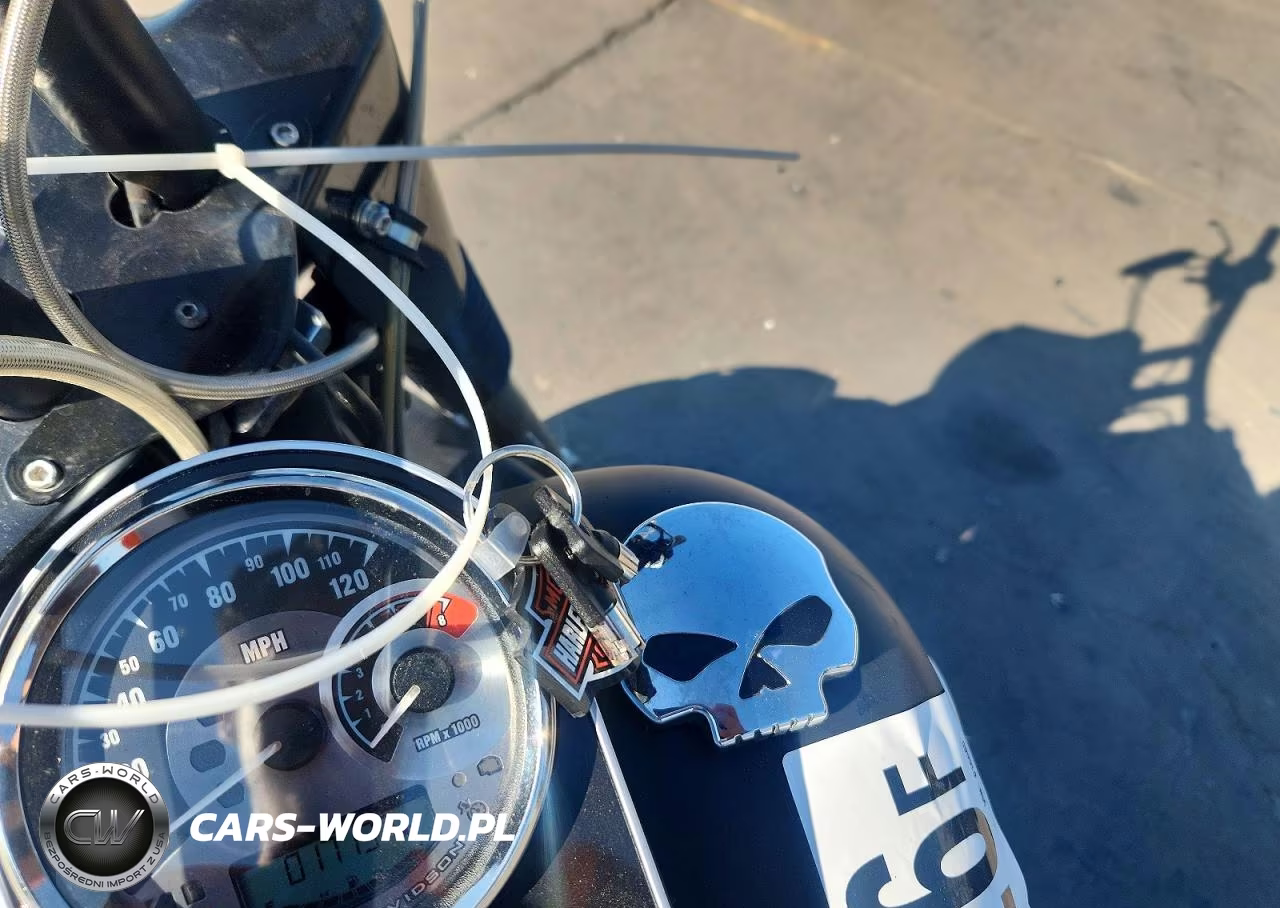 2015 Harley-Davidson Flstfb Fatboy Lo VIN:1HD1JNV17FC016685 - 8
