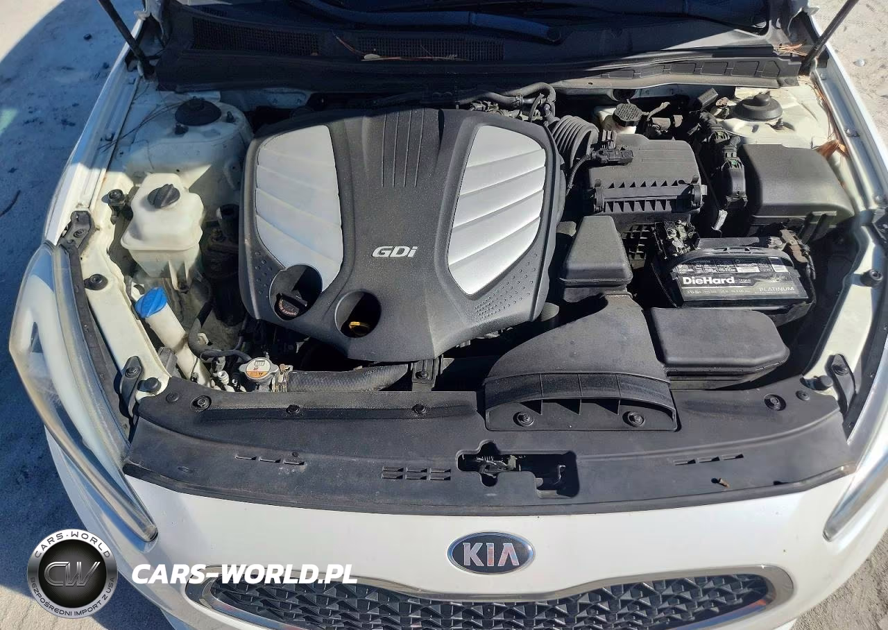 2014 Kia Cadenza Premium VIN:KNALN4D72E5162250 - 11