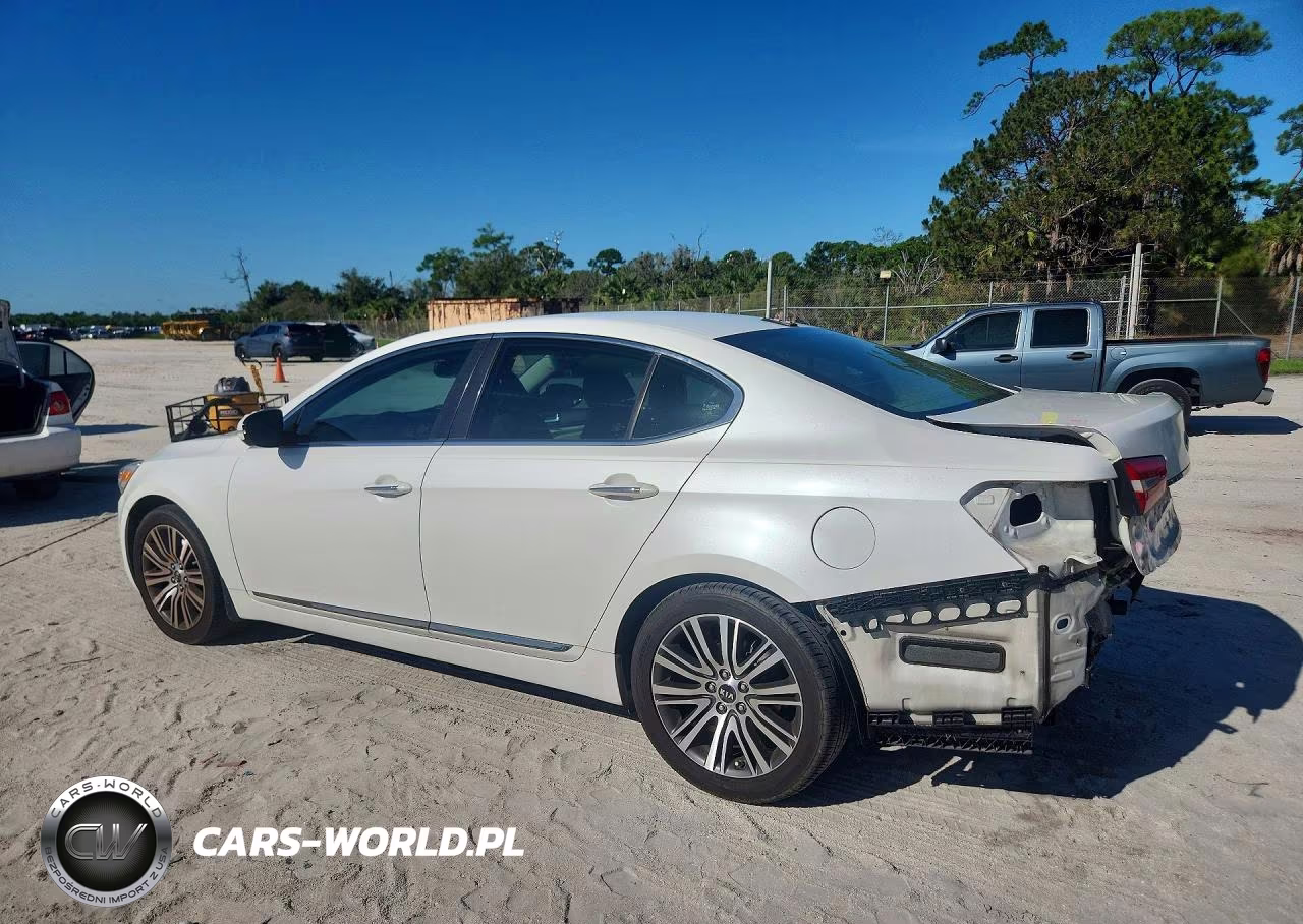 2014 Kia Cadenza Premium VIN:KNALN4D72E5162250 - 2