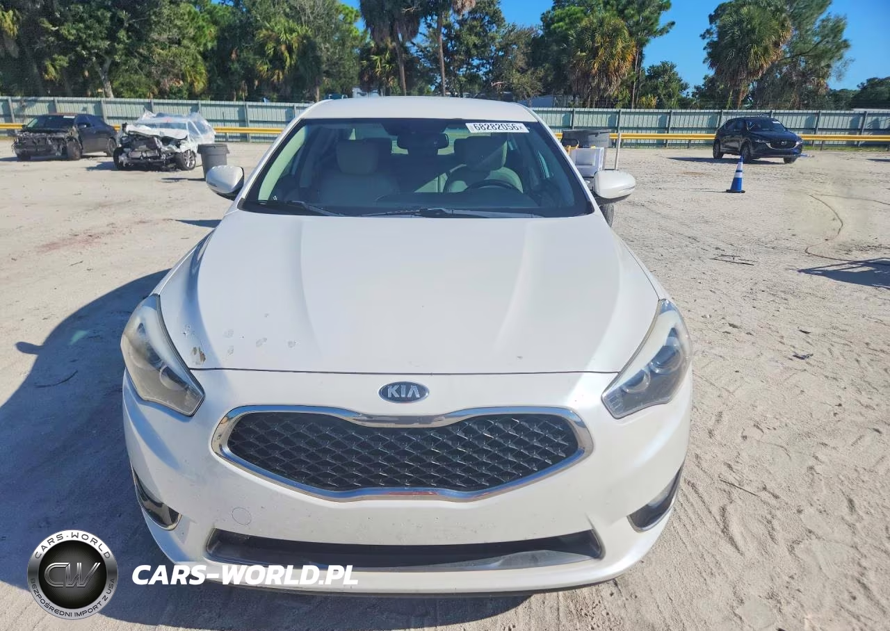 2014 Kia Cadenza Premium VIN:KNALN4D72E5162250 - 5