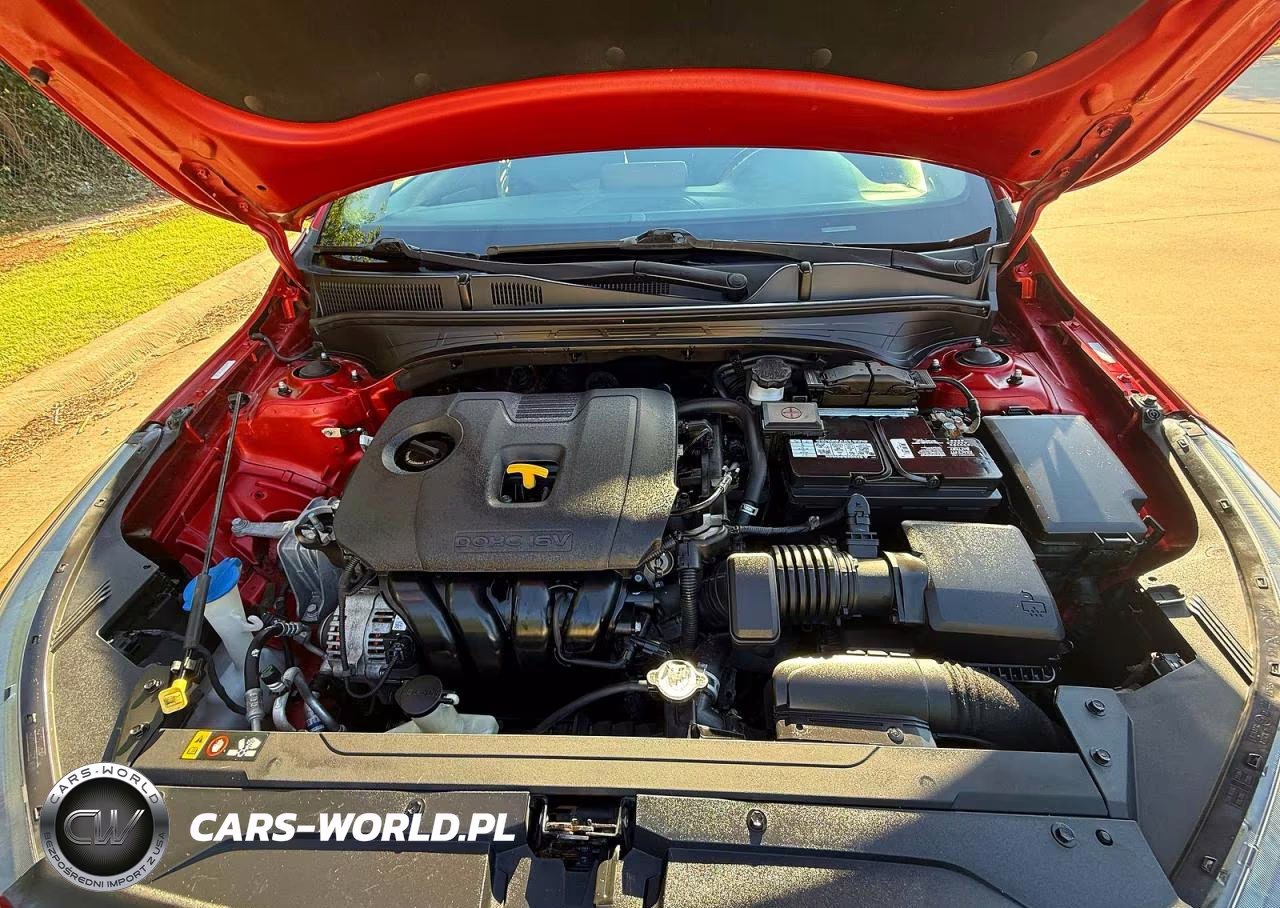 2019 Kia Forte S VIN:3KPF34AD4KE056916 - 7