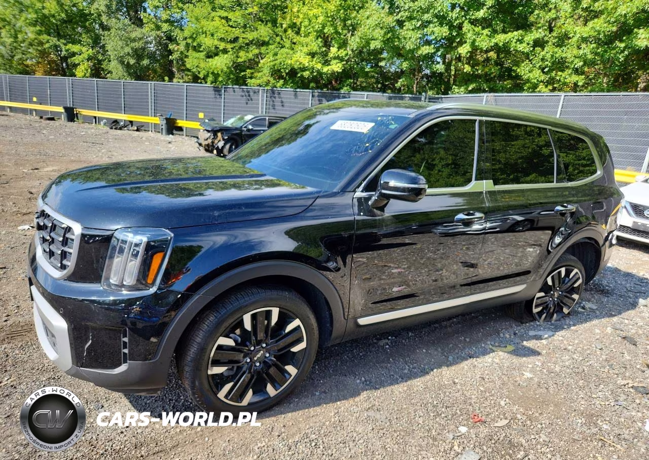 2024 Kia Telluride Sx VIN:5XYP54GC8RG439400 - 1