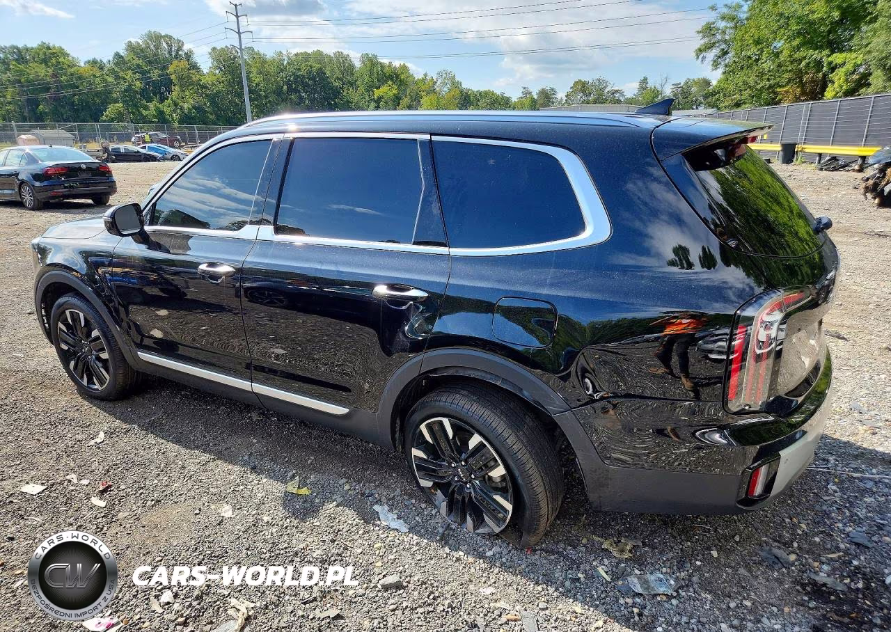 2024 Kia Telluride Sx VIN:5XYP54GC8RG439400 - 2