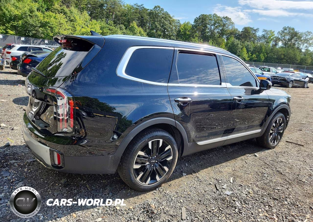 2024 Kia Telluride Sx VIN:5XYP54GC8RG439400 - 3