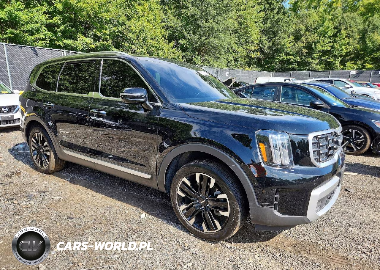 2024 Kia Telluride Sx VIN:5XYP54GC8RG439400 - 4