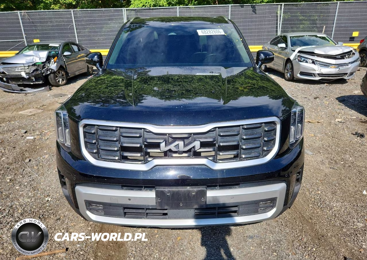 2024 Kia Telluride Sx VIN:5XYP54GC8RG439400 - 5