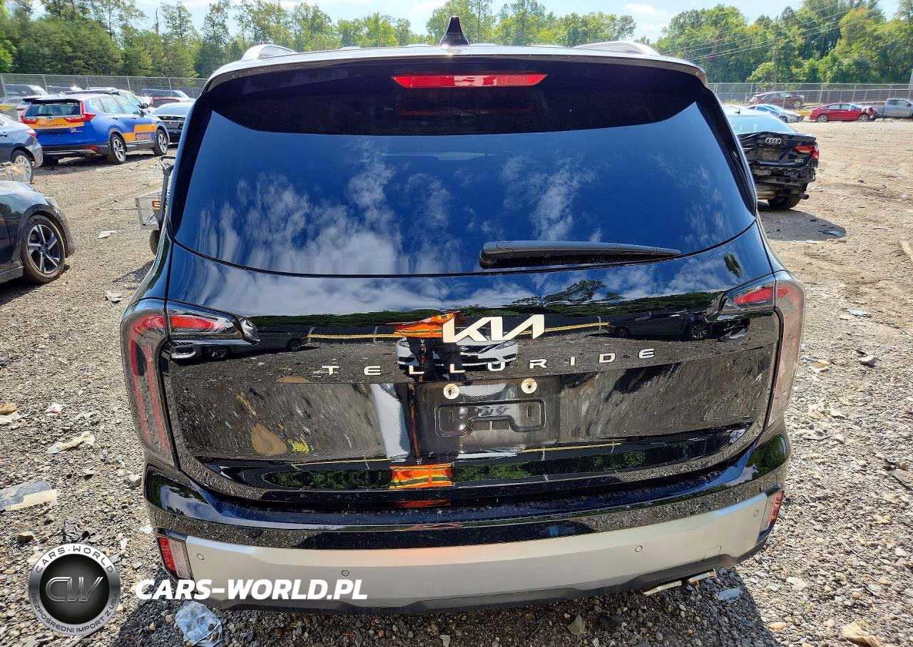 2024 Kia Telluride Sx VIN:5XYP54GC8RG439400 - 6
