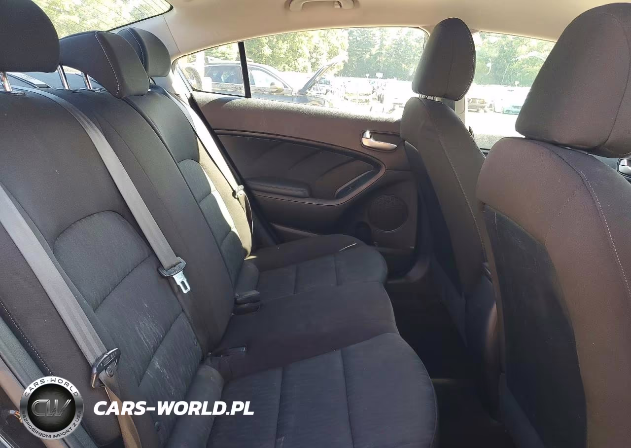 2014 Kia Forte Lx VIN:KNAFK4A63E5171878 - 10