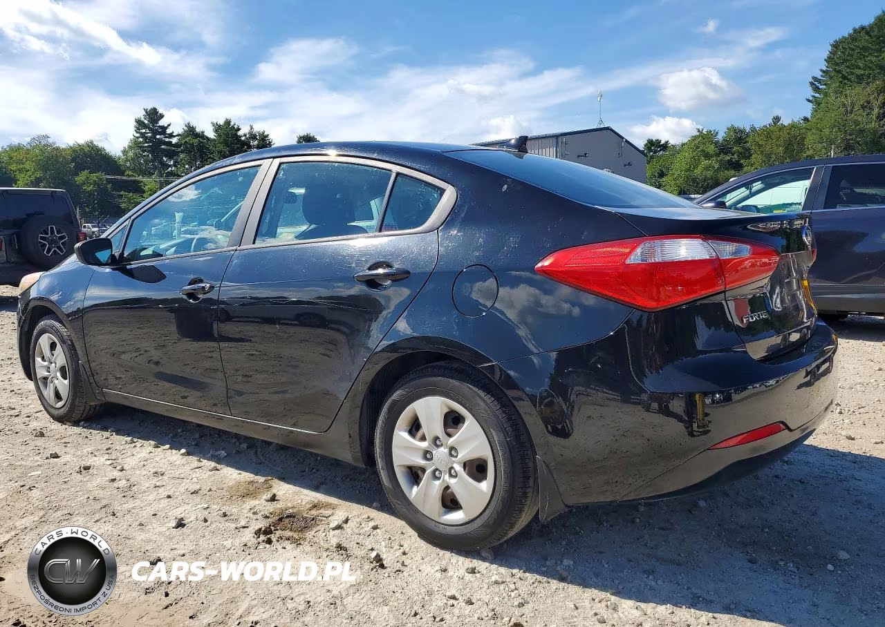 2014 Kia Forte Lx VIN:KNAFK4A63E5171878 - 2
