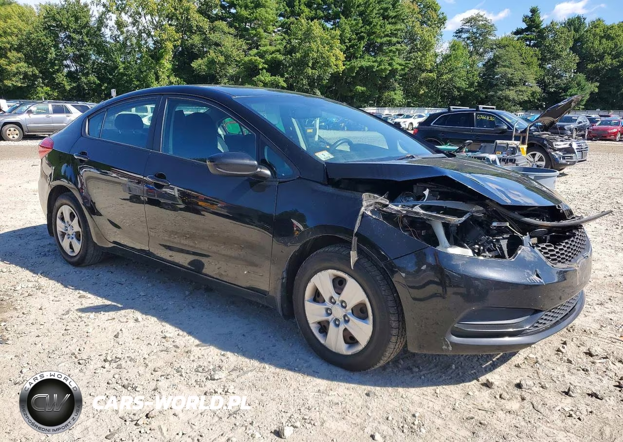 2014 Kia Forte Lx VIN:KNAFK4A63E5171878 - 4
