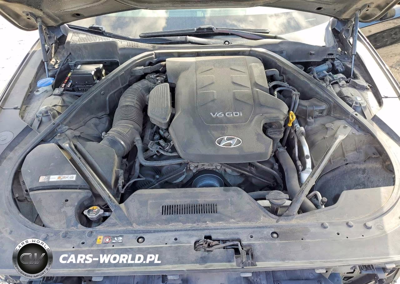2015 Hyundai Genesis 3.8L VIN:KMHGN4JE1FU053868 - 11