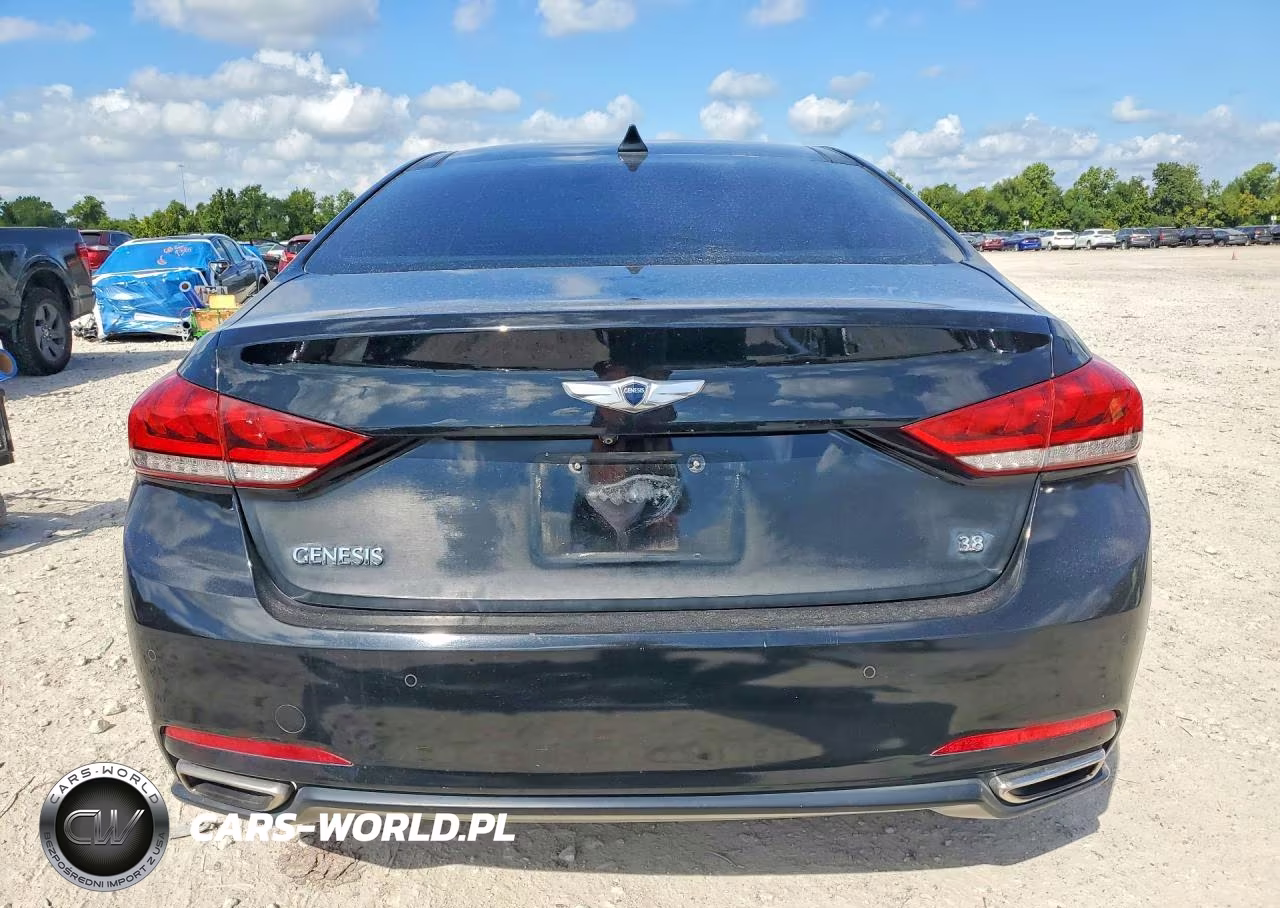 2015 Hyundai Genesis 3.8L VIN:KMHGN4JE1FU053868 - 6