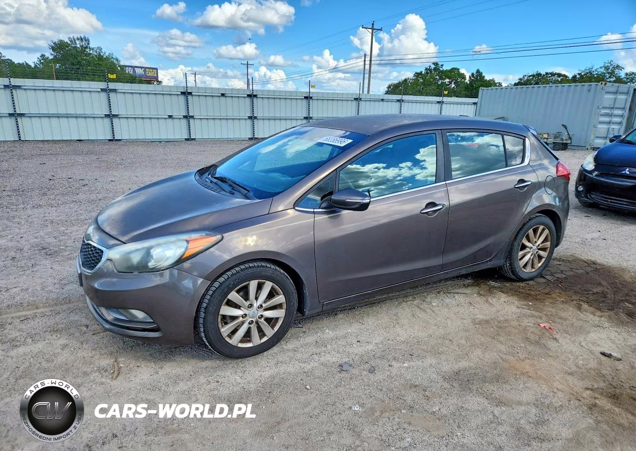 2014 Kia Forte Ex VIN:KNAFX5A80E5239904 - 1