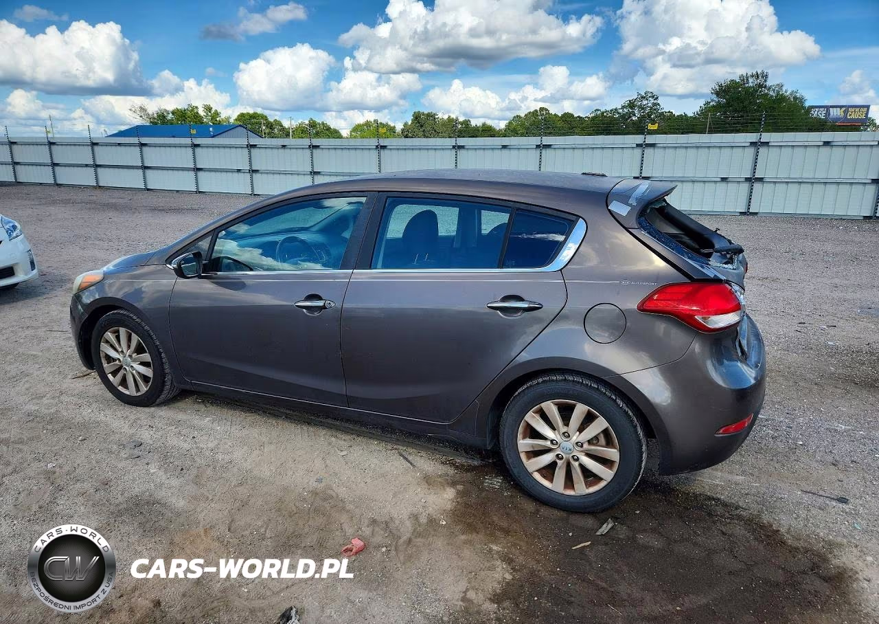 2014 Kia Forte Ex VIN:KNAFX5A80E5239904 - 2