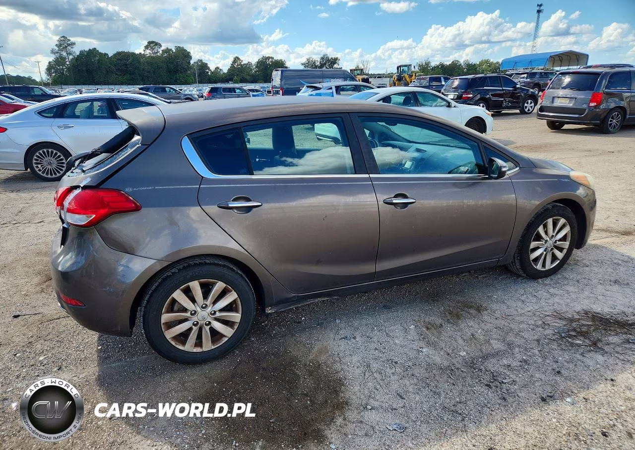 2014 Kia Forte Ex VIN:KNAFX5A80E5239904 - 3