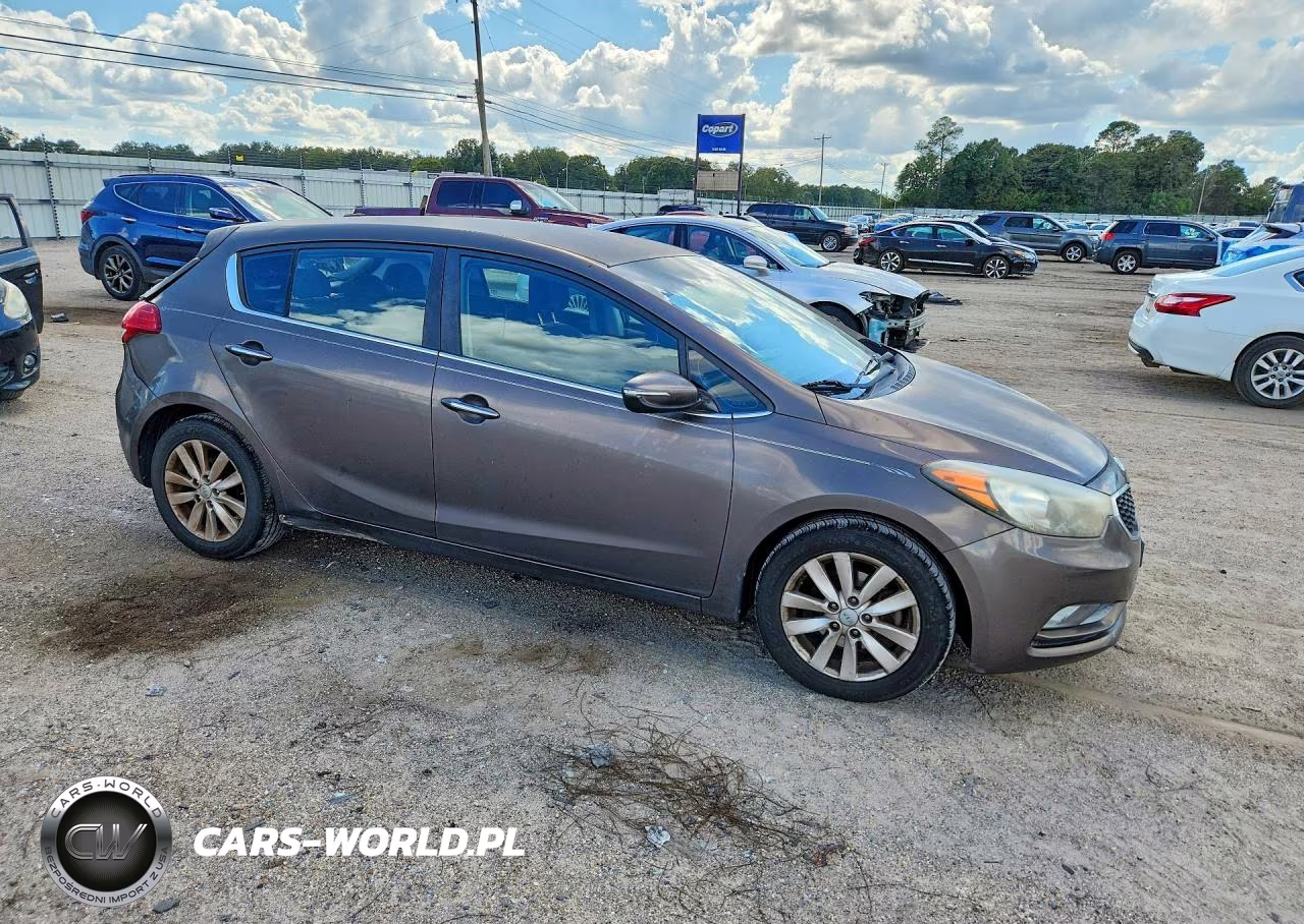 2014 Kia Forte Ex VIN:KNAFX5A80E5239904 - 4