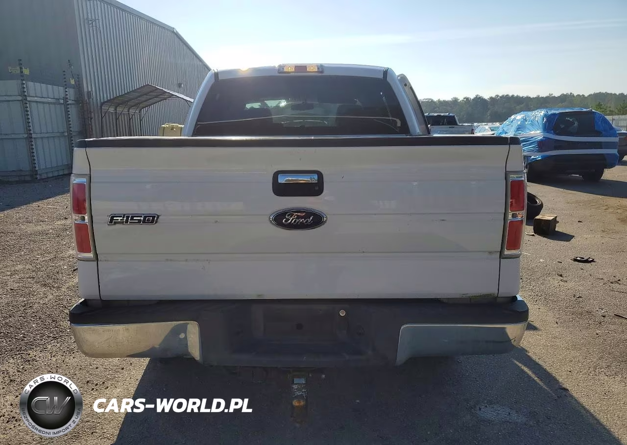 2009 Ford F150 Supercrew VIN:1FTRW12889FB11940 - 6
