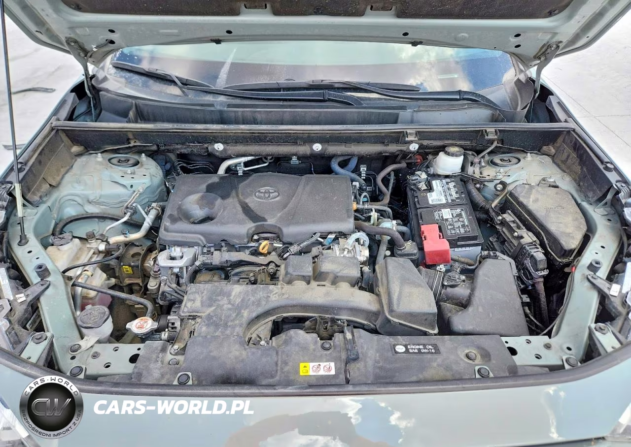 2023 Toyota Rav4 Xle VIN:2T3W1RFV8PW275636 - 12