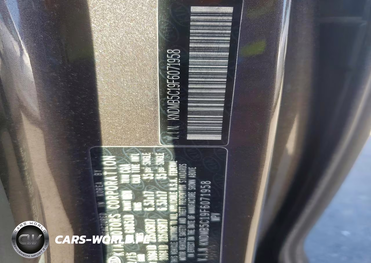 2015 Kia Sedona Lx VIN:KNDMB5C19F6071958 - 13