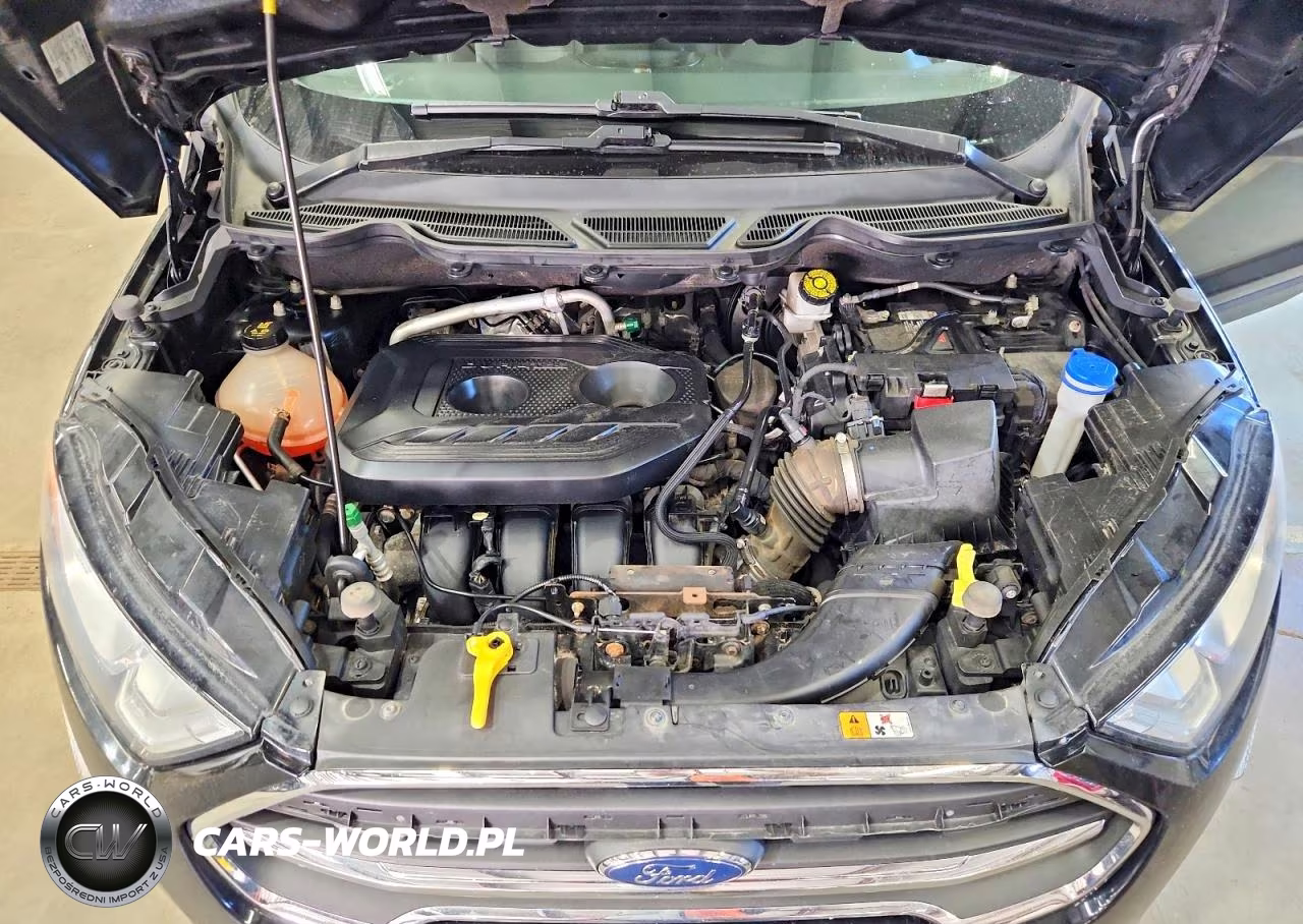 2019 Ford Ecosport Titanium VIN:MAJ6S3KL8KC274454 - 12