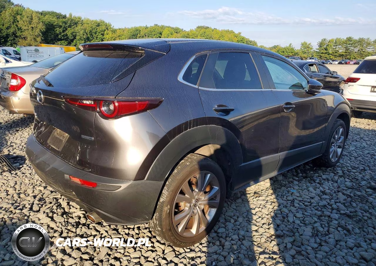 2021 Mazda Cx-30 Preferred VIN:3MVDMBCL4MM255369 - 3