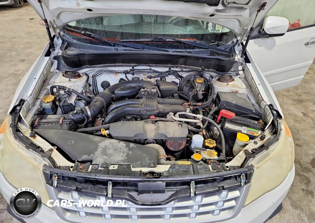 2011 Subaru Forester 2.5X Premium VIN:JF2SHADC7BH766650 - 12