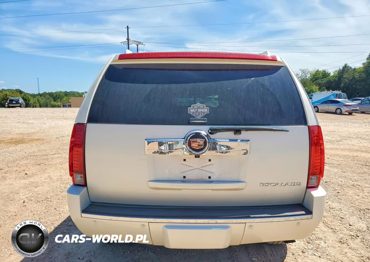 2008 Cadillac Escalade Luxury VIN:1GYFK63818R255461 - 6