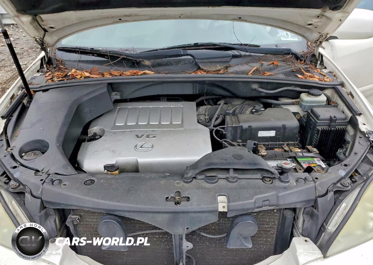 2007 Lexus Rx 350 VIN:JTJHK31U972007590 - 12