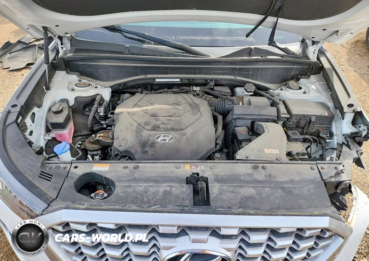 2022 Hyundai Palisade Sel VIN:KM8R4DHEXNU467084 - 12
