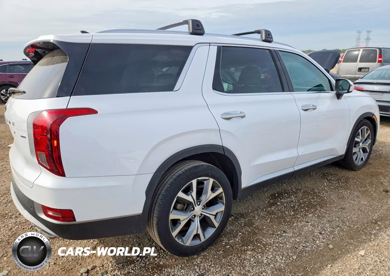2022 Hyundai Palisade Sel VIN:KM8R4DHEXNU467084 - 3