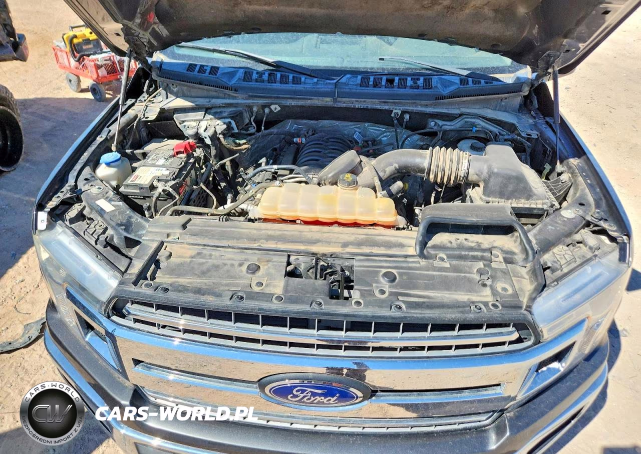 2019 Ford F150 Supercrew VIN:1FTEW1E5XKFA41427 - 11