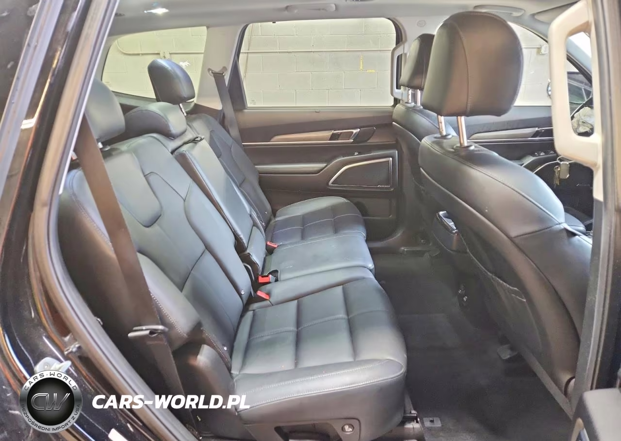 2022 Kia Telluride Sx VIN:5XYP5DHC3NG255636 - 11