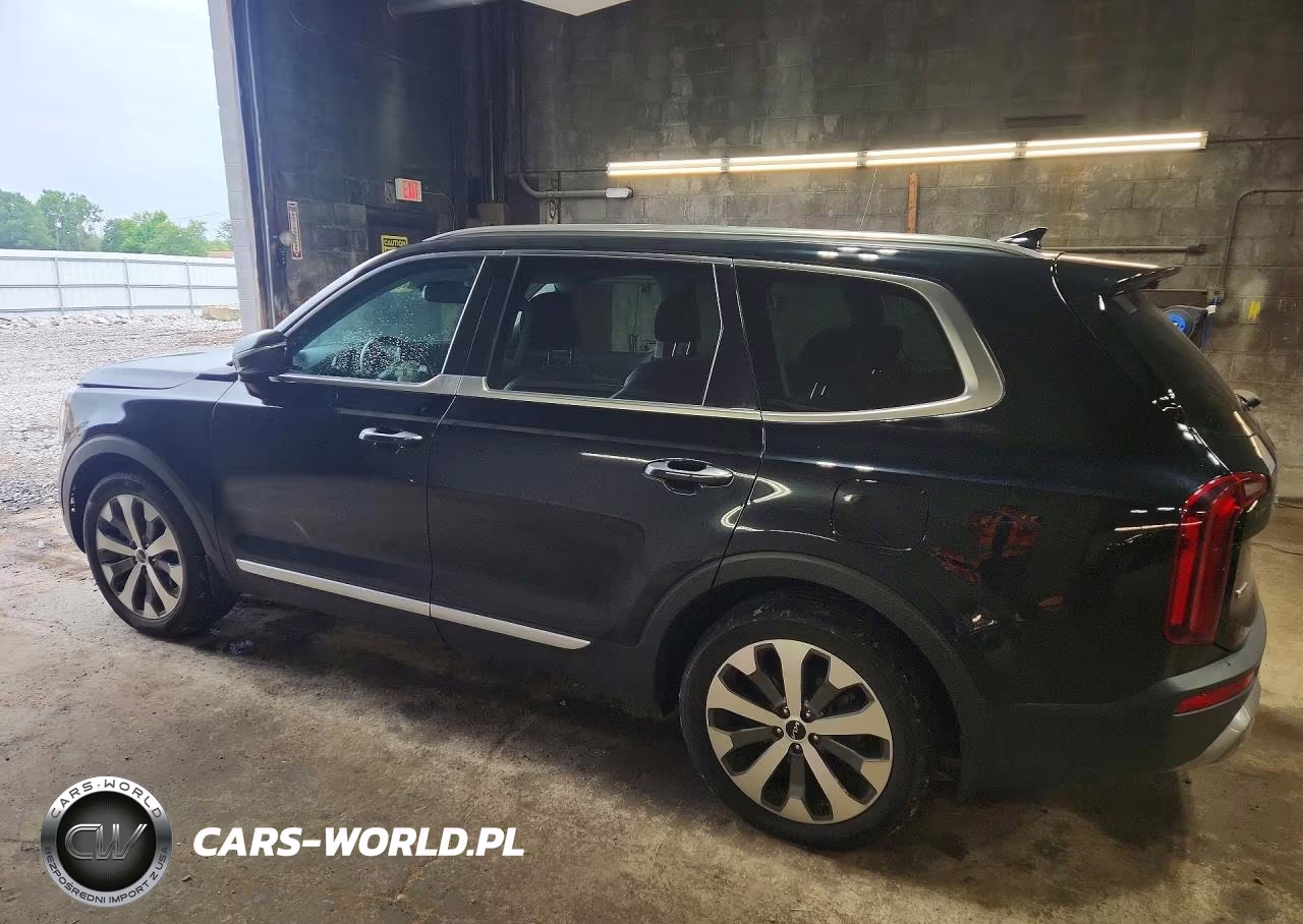 2022 Kia Telluride Sx VIN:5XYP5DHC3NG255636 - 2
