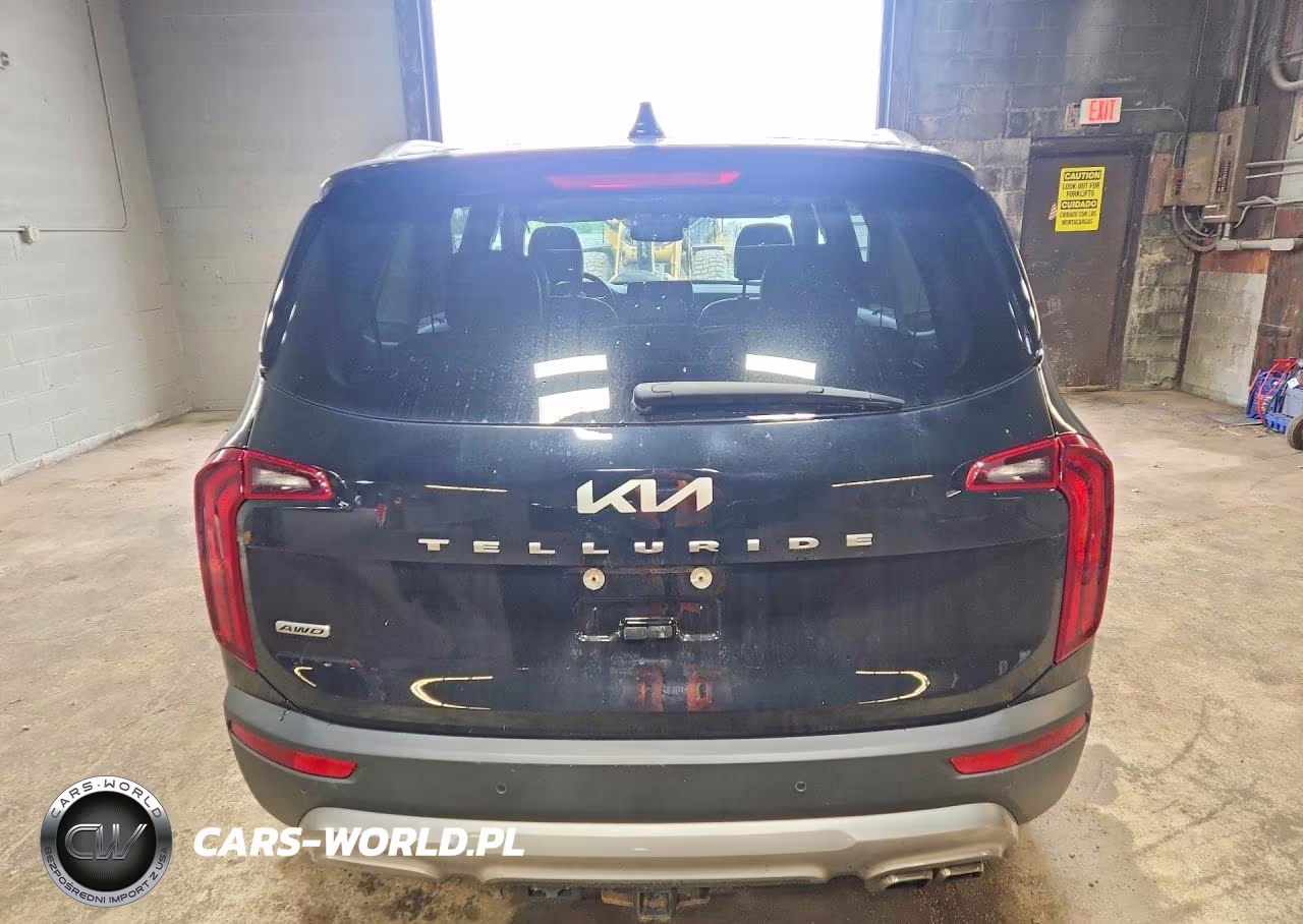 2022 Kia Telluride Sx VIN:5XYP5DHC3NG255636 - 6