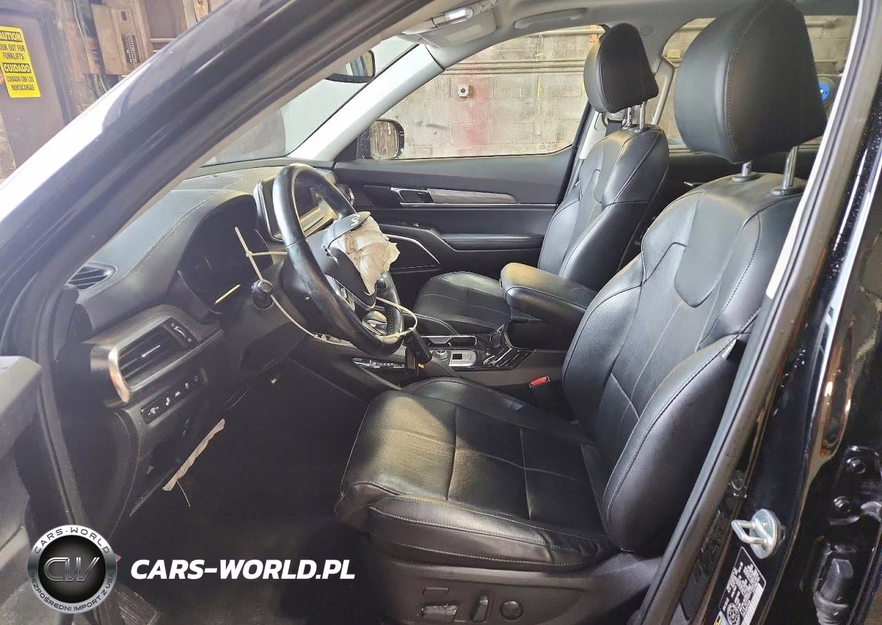 2022 Kia Telluride Sx VIN:5XYP5DHC3NG255636 - 7