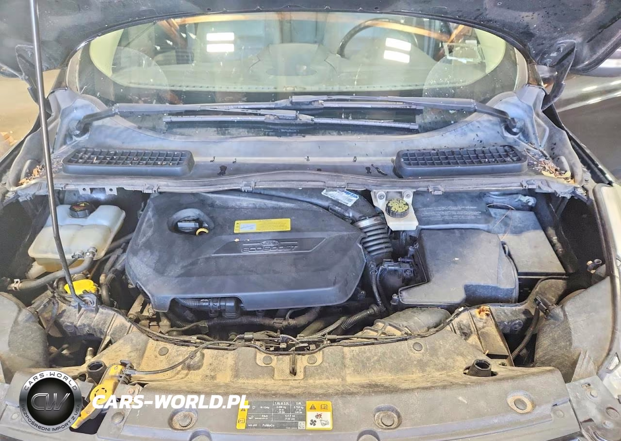 2013 Ford Escape Sel VIN:1FMCU9HXXDUC90491 - 12