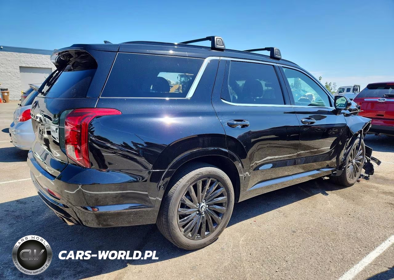 2024 Hyundai Palisade Calligraphy Night Edition VIN:KM8R7DGE5RU793969 - 3