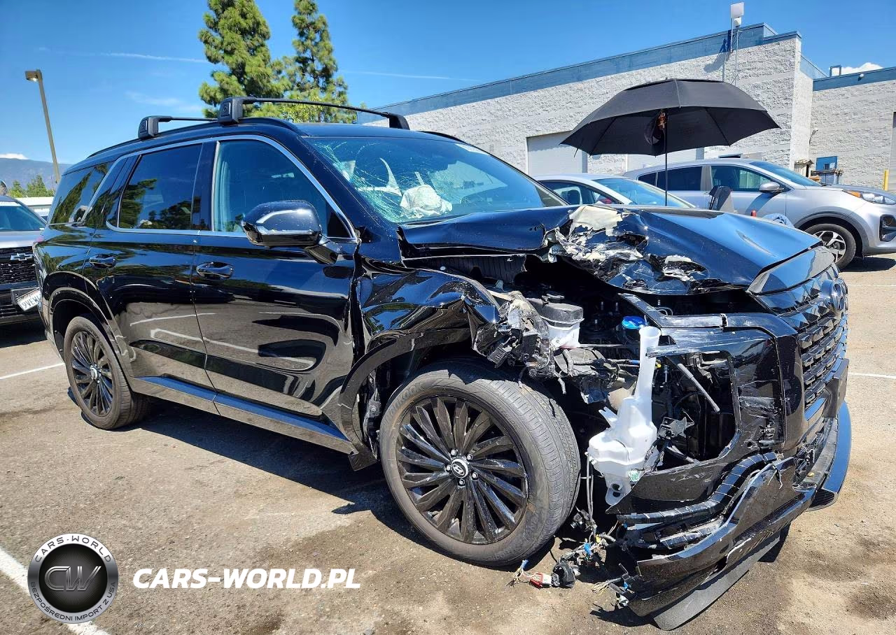 2024 Hyundai Palisade Calligraphy Night Edition VIN:KM8R7DGE5RU793969 - 4