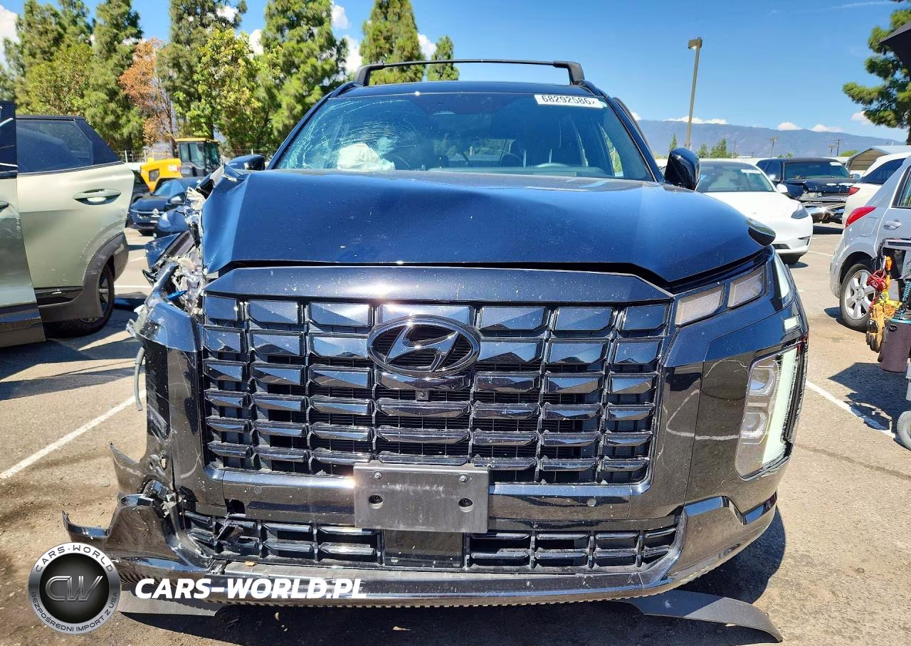 2024 Hyundai Palisade Calligraphy Night Edition VIN:KM8R7DGE5RU793969 - 5