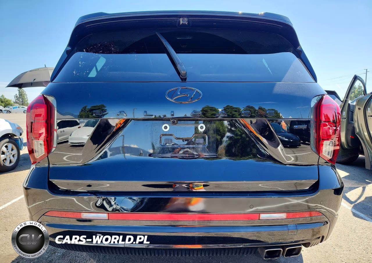 2024 Hyundai Palisade Calligraphy Night Edition VIN:KM8R7DGE5RU793969 - 6