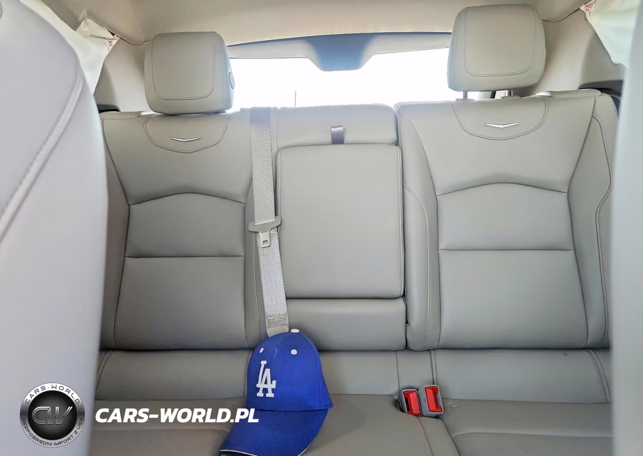 2023 Cadillac Xt4 Luxury VIN:1GYAZAR48PF215519 - 10