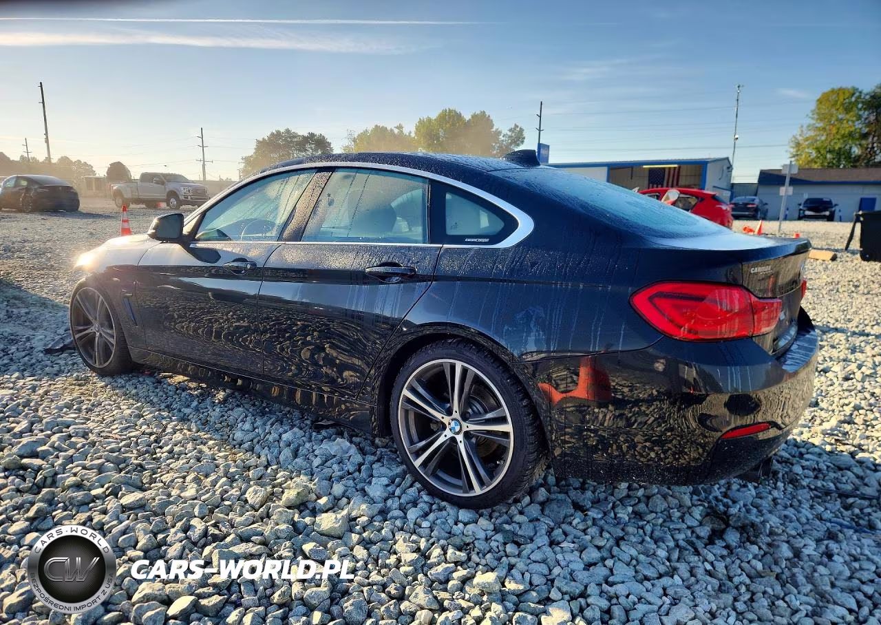 2019 BMW 430I Gran Coupe VIN:WBA4J1C52KBM17023 - 2