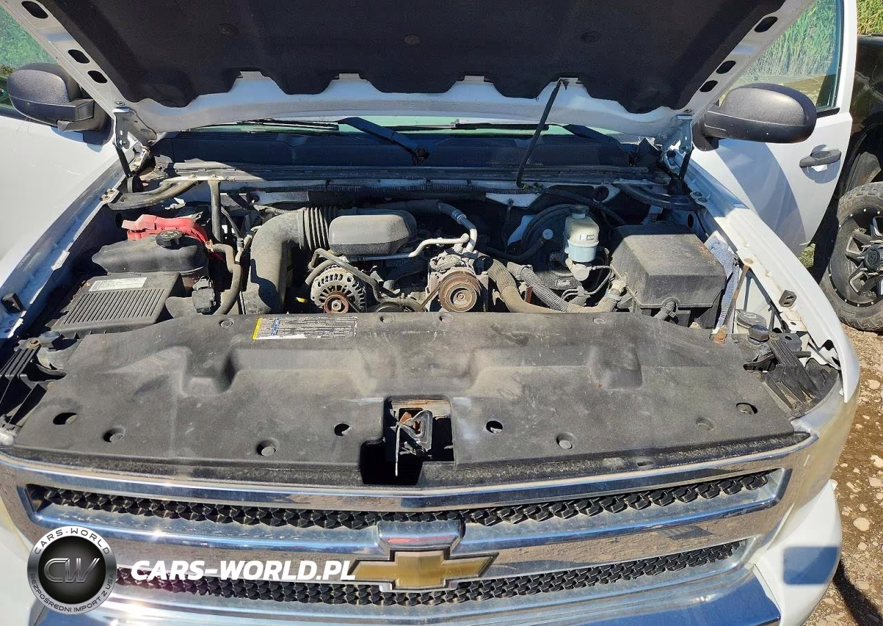 2009 Chevrolet Silverado C1500 VIN:1GCEC19X09Z166241 - 11