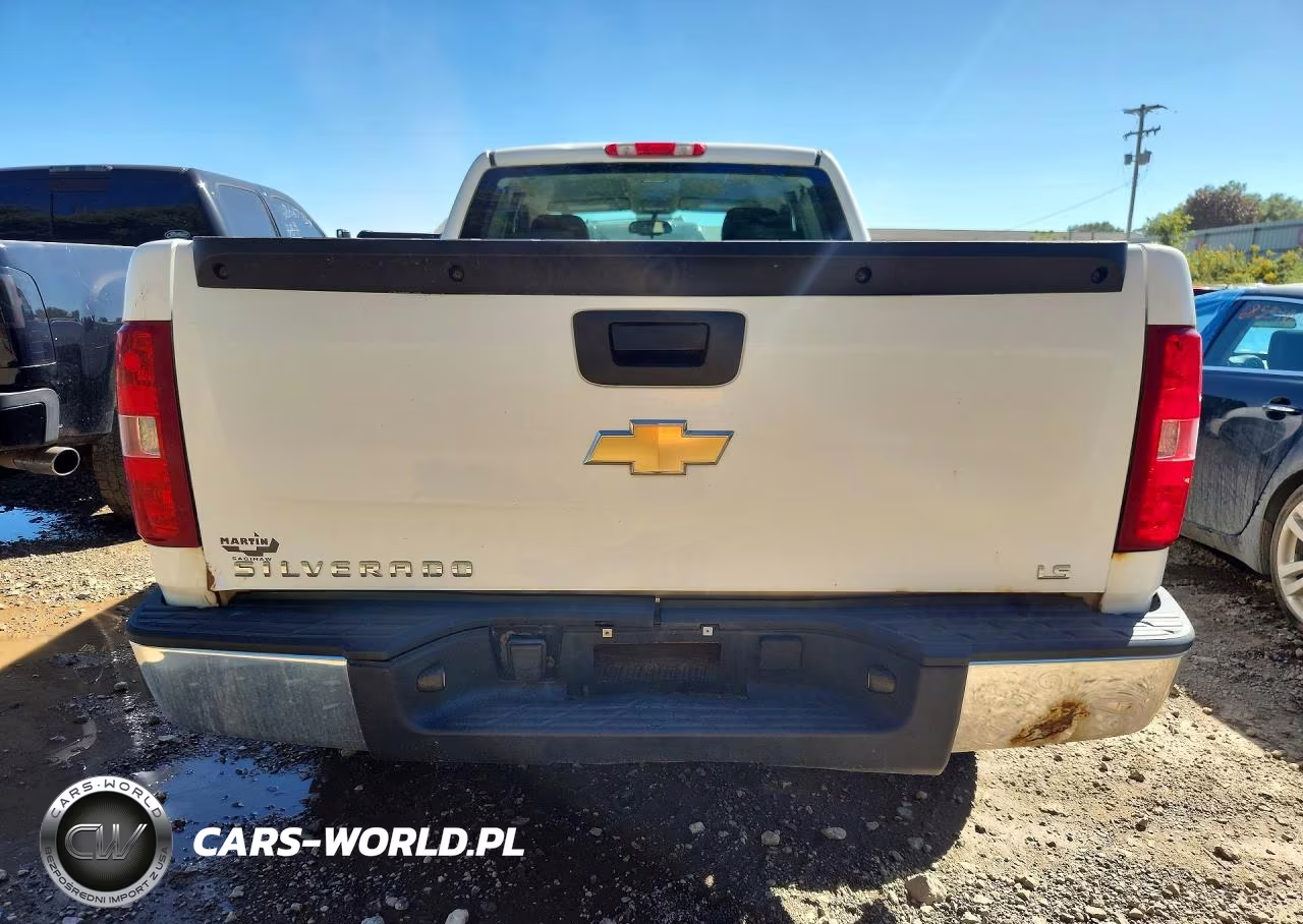 2009 Chevrolet Silverado C1500 VIN:1GCEC19X09Z166241 - 6